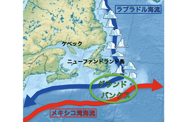 寒流と暖流が交差するグランド・バンクス