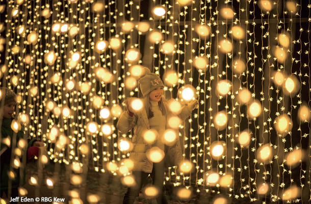 Christmas at Kew