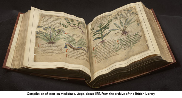 中世薬草学の写本「Old English Herbal」