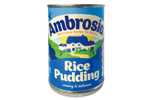 Ambrosia Rice Pudding