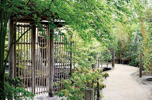 ポツダム郊外の日本庭園を訪ねて