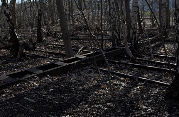 森に埋もれるかつての線路跡