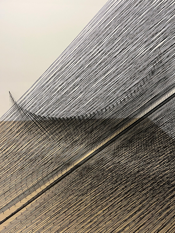 直線と曲線が混ざり合い、糸の世界に見るものを引き込みます