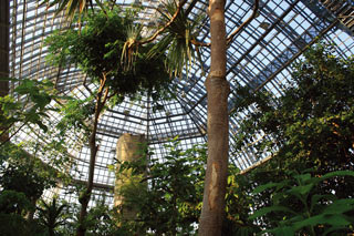 ベルリンのダーレム地区にある植物園（Botanischer Garten）の大温室