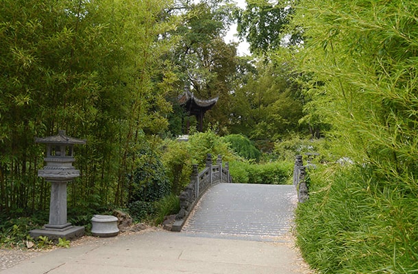 竹林や灯籠、石橋が見える園内