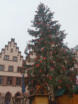 市庁舎前に飾られたクリスマスツリー「グレーテル」