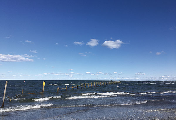 嵐が過ぎ去ったバルト海の浜辺
