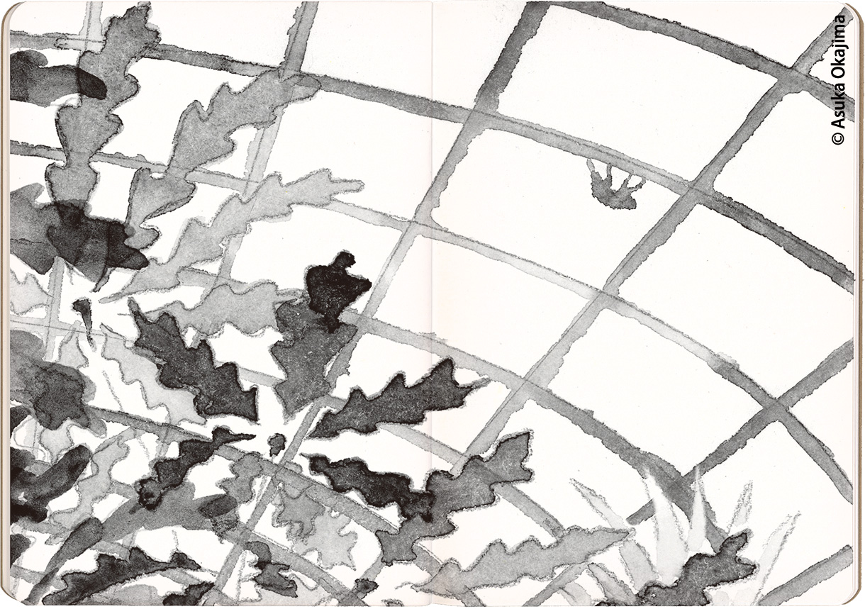 常夏の楽園にて