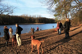 犬とその愛好家のパラダイス、グルーネヴァルト湖