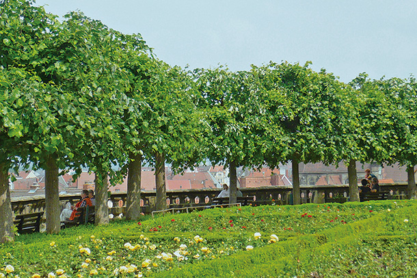 バンベルクから世界へ!缶で飛躍する醸造所