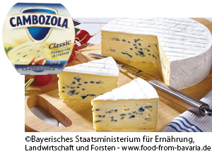 Bayerischer Blauschimmelkäse　バイエルン産ブルーチーズ