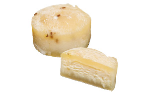 ニーハイマー・チーズ
