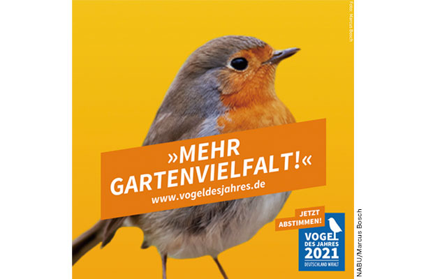 ヨーロッパコマドリの選挙ポスター