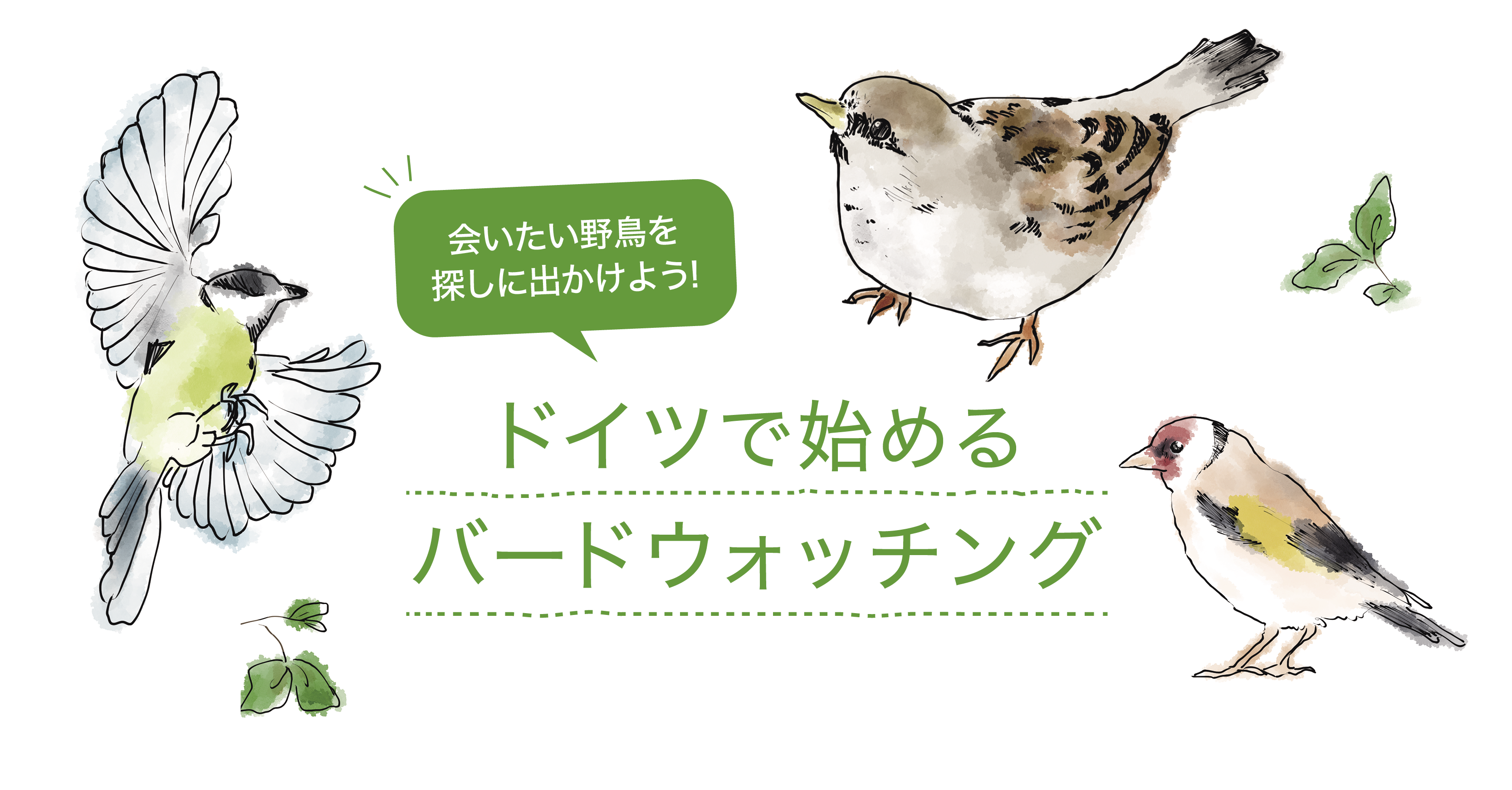 ドイツで始めるバードウォッチング - 会いたい野鳥を探しに出かけよう! -