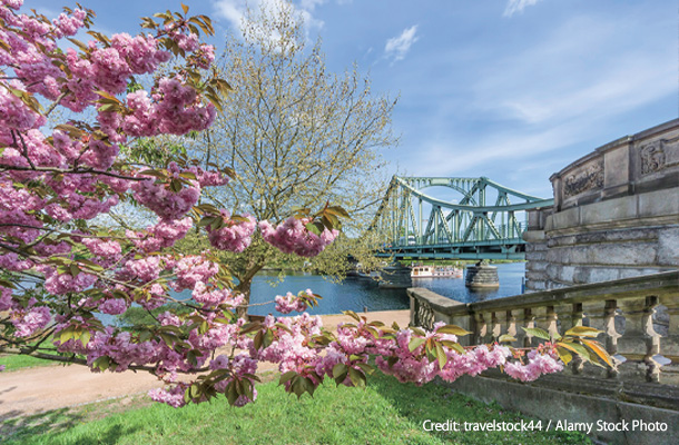 かつて東西ドイツのスパイの交換が行われていたグリーニッケ橋のたもとに咲く桜