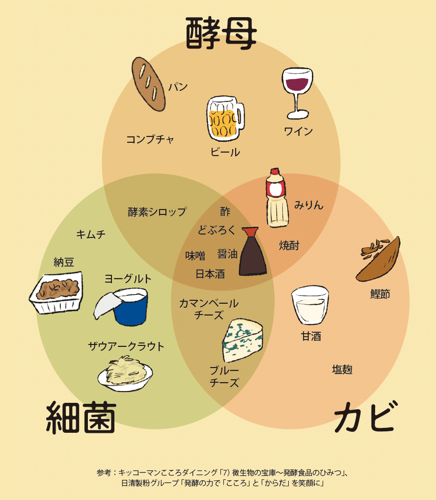 発酵食品