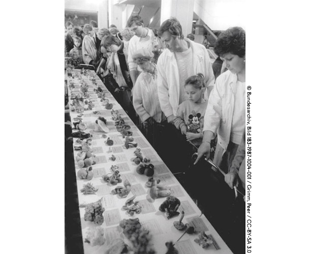 1987年に東ベルリンの共和国宮殿にて行われたキノコ相談会