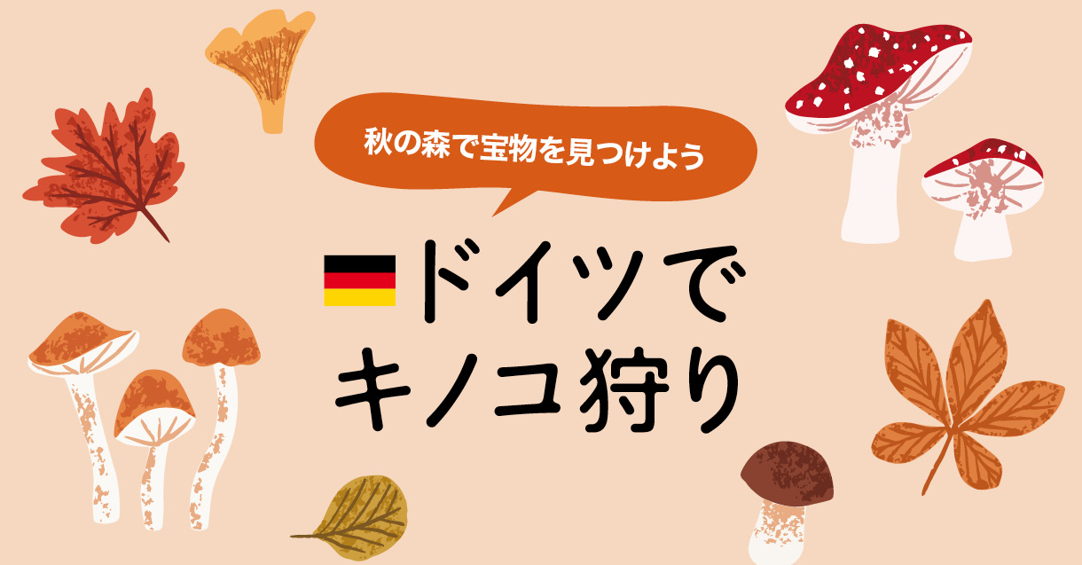 ドイツでキノコ狩り