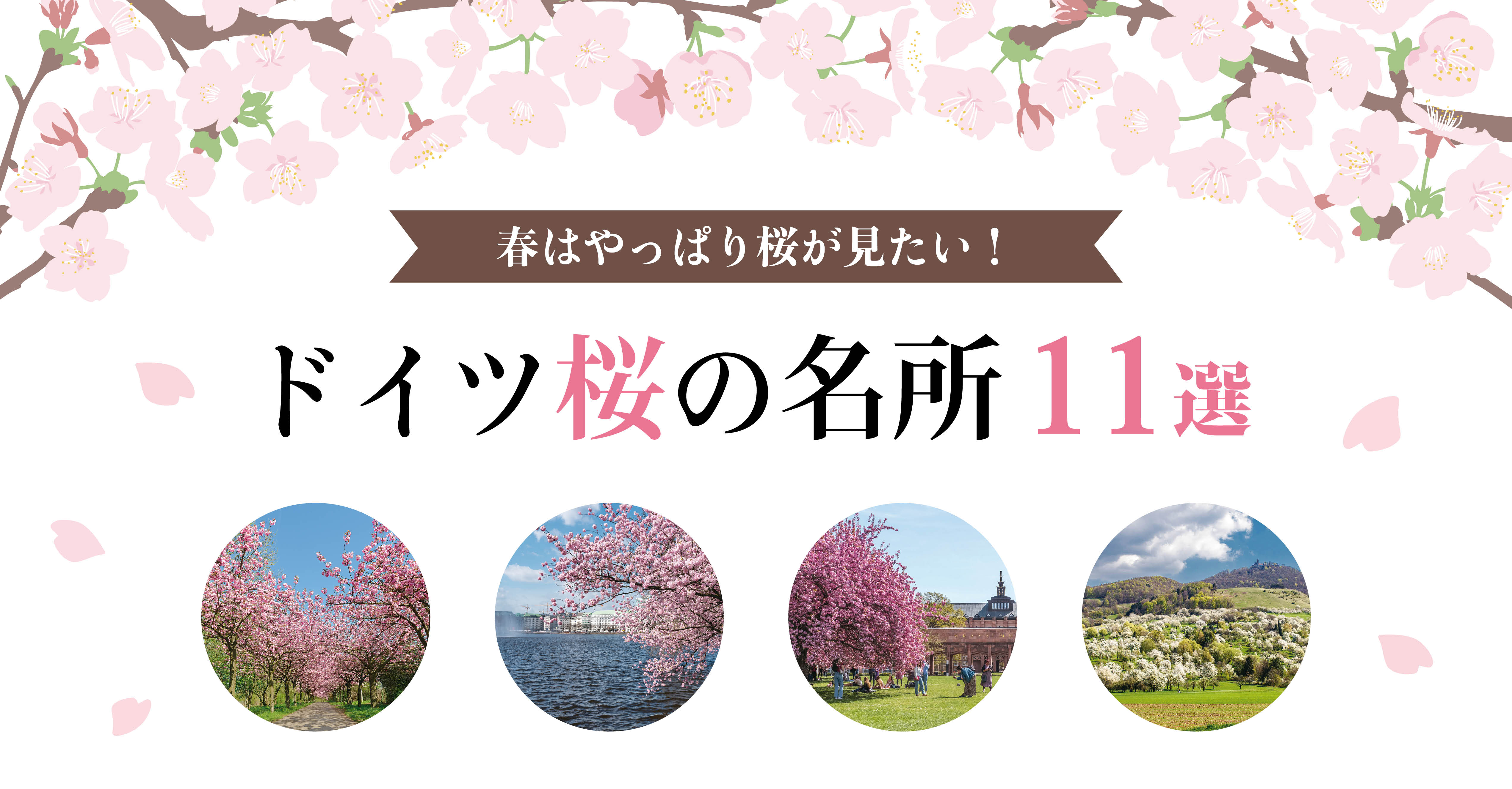 春はやっぱり桜が見たい！ ドイツ桜の名所11選