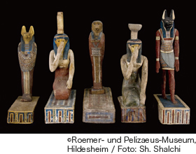 Roemer- und Pelizaeus-Museum